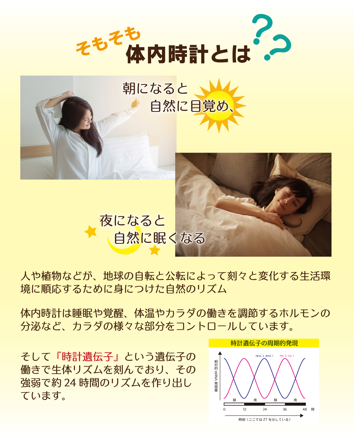 ネムノス®Slim